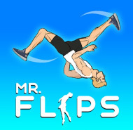 Mr. Flip
